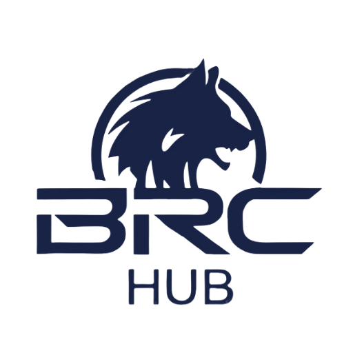 Orvexa Softech Private Limited